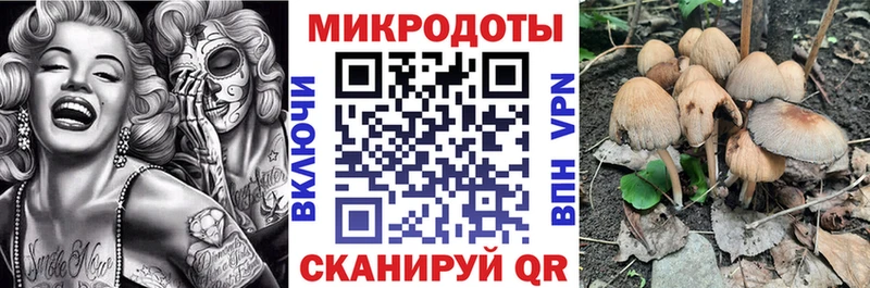 Псилоцибиновые грибы ЛСД  Купить  Стерлитамак 