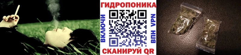 Купить закладки  Стерлитамак  Марихуана конопля 